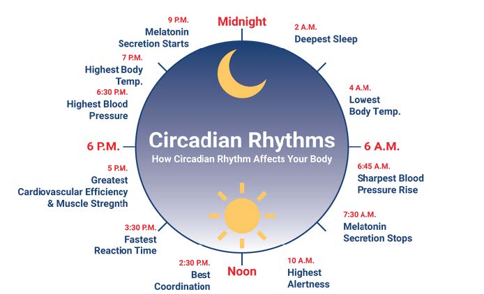 in rhythm with your sleep